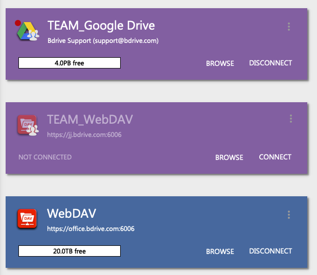 NetDrive member drive list showing a team-published S3 drive alongside personal drives