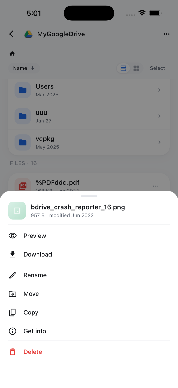File action sheet in NetDrive Mobile for a Google Drive file showing Preview, Download, Rename, Move, Copy, and Delete options