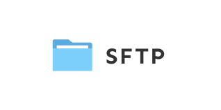 NetDrive SFTP provider logo for secure file transfer